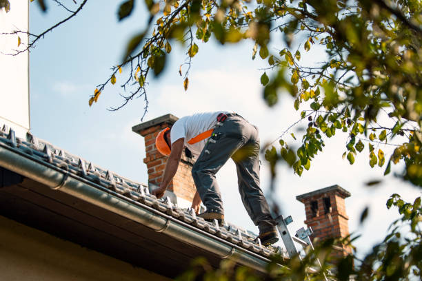 Best Metal Roofing Contractor  in Morris Plains, NJ