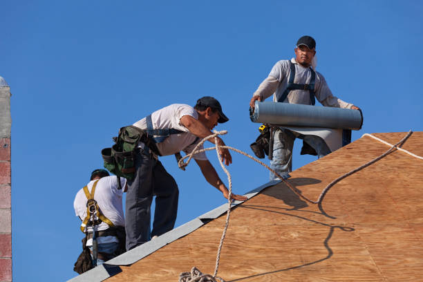 Best Roof Gutter Cleaning  in Morris Plains, NJ