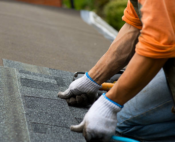Best Roof Gutter Cleaning  in Morris Plains, NJ